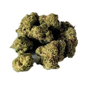 mother of berries durban diesel mochi magic purple petrol first class black friday hybrid elite lemon cherry purple punch indica sour runtz sour ape sativa sharklato hybrid crowdwalker indica spk sour patch sativa dominant hybrid sugar crush biscotti y2 ice cream gelato indica dominant hybrid magic melon sativa gorilla cookie blueberry zkittles indica dominant hybrid godfather og indica citrus plus 2.0 indica gelato zkittles indica dominant hybrid lava cake indica dominant hybrid cookie dough hybrid jealousy indica dominant hybrid tropicana cookies super glue indica dominant hybrid frosted melon cookies hybrid sundae driver sour apple purple runtz sativa indica dominant hybrid pyt jack indica dominant hybrid melon mint pink rozay sativa moonbow island og indica dominant hybrid cannabis marijuana flower strain strand weed near me torch loud pack smoke fire bud high dc delivery exotic smoke dc weed delivery dispensary near me gift gifts weed marijuana va virginia dispensary weed gift shops md maryland oxon hill temple hills national harbor alexandria falls church fairfax arlington weed shop 420dc 420 dc gift gifts black cherry punch indica dominant hybrid fairfax annandale arlington cherry tartz hybrid