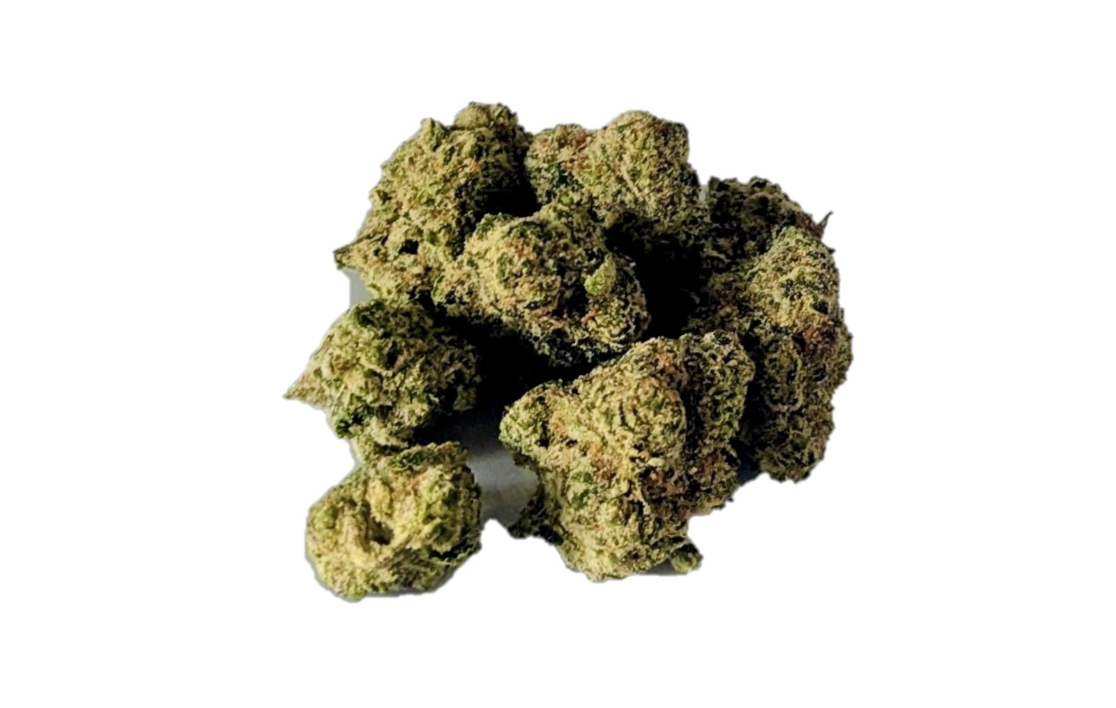 mother of berries durban diesel mochi magic purple petrol first class black friday hybrid elite lemon cherry purple punch indica sour runtz sour ape sativa sharklato hybrid crowdwalker indica spk sour patch sativa dominant hybrid sugar crush biscotti y2 ice cream gelato indica dominant hybrid magic melon sativa gorilla cookie blueberry zkittles indica dominant hybrid godfather og indica citrus plus 2.0 indica gelato zkittles indica dominant hybrid lava cake indica dominant hybrid cookie dough hybrid jealousy indica dominant hybrid tropicana cookies super glue indica dominant hybrid frosted melon cookies hybrid sundae driver sour apple purple runtz sativa indica dominant hybrid pyt jack indica dominant hybrid melon mint pink rozay sativa moonbow island og indica dominant hybrid cannabis marijuana flower strain strand weed near me torch loud pack smoke fire bud high dc delivery exotic smoke dc weed delivery dispensary near me gift gifts weed marijuana va virginia dispensary weed gift shops md maryland oxon hill temple hills national harbor alexandria falls church fairfax arlington weed shop 420dc 420 dc gift gifts black cherry punch indica dominant hybrid fairfax annandale arlington cherry tartz hybrid