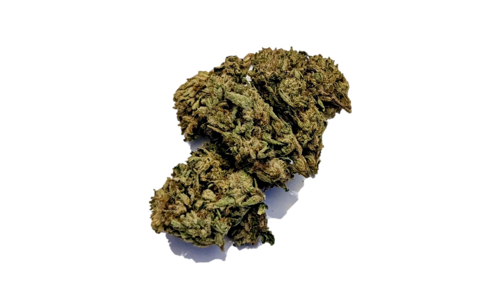 dispensary weed cannabis tree weed shop dc va virginia maryland alexandria fairfax annandale arlington county md oxon hills temple hills national harbor prince george southeast georgetown dc weed delivery gift shop flower edibles cart cartridge thc 420 dispensary near me high dc indica sativa hybrid hammered horse hollywood haze indica