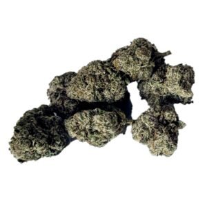 mother of berries durban diesel mochi magic purple petrol first class black friday hybrid elite lemon cherry purple punch indica sour runtz sour ape sativa sharklato hybrid crowdwalker indica spk sour patch sativa dominant hybrid sugar crush biscotti y2 ice cream gelato indica dominant hybrid magic melon sativa gorilla cookie blueberry zkittles indica dominant hybrid godfather og indica citrus plus 2.0 indica gelato zkittles indica dominant hybrid lava cake indica dominant hybrid cookie dough hybrid jealousy indica dominant hybrid tropicana cookies super glue indica dominant hybrid frosted melon cookies hybrid sundae driver sour apple purple runtz sativa indica dominant hybrid pyt jack indica dominant hybrid melon mint pink rozay sativa moonbow island og indica dominant hybrid cannabis marijuana flower strain strand weed near me torch loud pack smoke fire bud high dc delivery exotic smoke dc weed delivery dispensary near me gift gifts weed marijuana va virginia dispensary weed gift shops md maryland oxon hill temple hills national harbor alexandria falls church fairfax arlington weed shop 420dc 420 dc gift gifts black cherry punch indica dominant hybrid fairfax annandale arlington candy mob sativa melonade