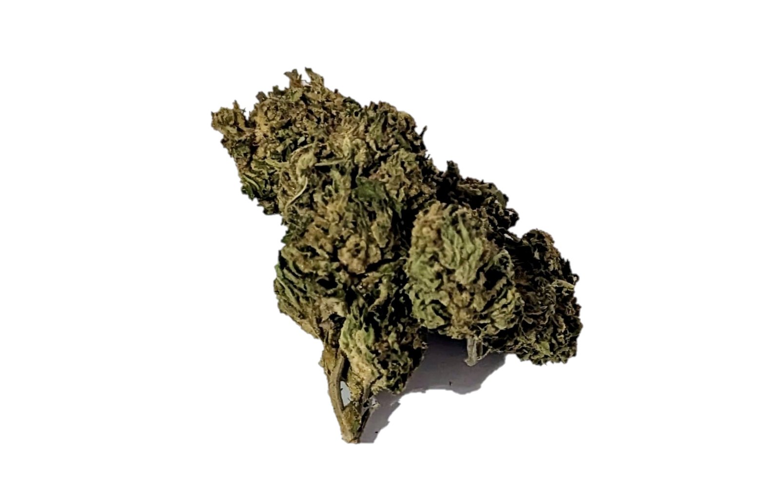 blue diesel dispensary weed cannabis tree weed shop dc va virginia maryland alexandria fairfax annandale arlington county md oxon hills temple hills national harbor prince george southeast georgetown dc weed delivery gift shop flower edibles cart cartridge thc 420 dispensary near me high dc indica sativa hybrid hammered horse cherry zlushie bakers dozen