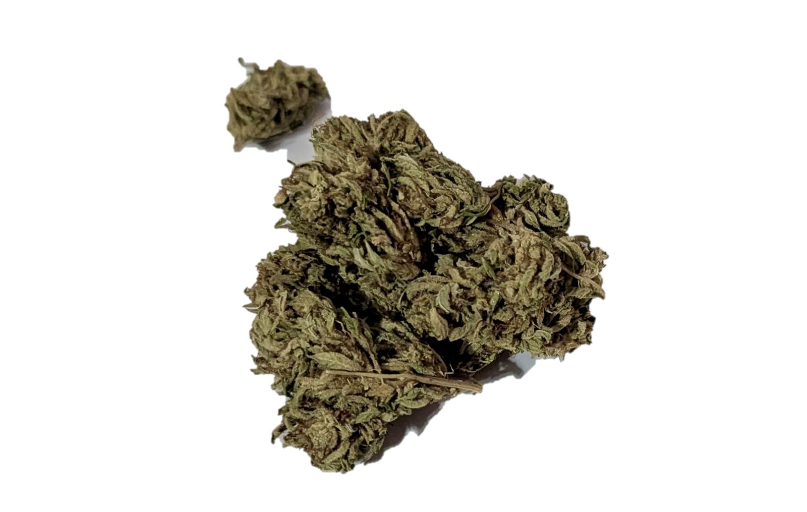 blue diesel dispensary weed cannabis tree weed shop dc va virginia maryland alexandria fairfax annandale arlington county md oxon hills temple hills national harbor prince george southeast georgetown dc weed delivery gift shop flower edibles cart cartridge thc 420 dispensary near me high dc indica sativa hybrid hammered horse cherry zlushie