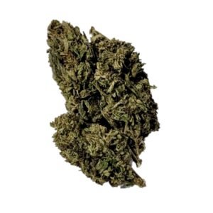 orange sherbert crasher dispensary weed cannabis tree weed shop dc va virginia maryland alexandria fairfax annandale arlington county md oxon hills temple hills national harbor prince george southeast georgetown dc weed delivery gift shop flower edibles cart cartridge thc 420 dispensary near me high dc indica sativa hybrid hammered horse hollywood haze indica