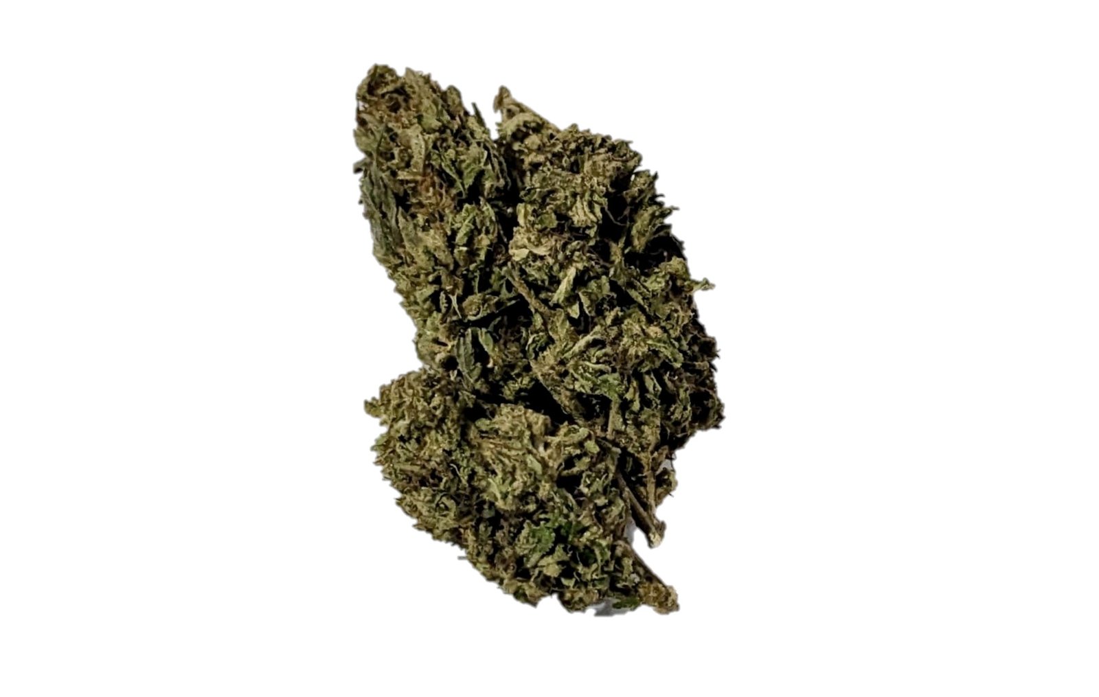 orange sherbert crasher dispensary weed cannabis tree weed shop dc va virginia maryland alexandria fairfax annandale arlington county md oxon hills temple hills national harbor prince george southeast georgetown dc weed delivery gift shop flower edibles cart cartridge thc 420 dispensary near me high dc indica sativa hybrid hammered horse hollywood haze indica