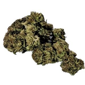 blue diesel dispensary weed cannabis tree weed shop dc va virginia maryland alexandria fairfax annandale arlington county md oxon hills temple hills national harbor prince george southeast georgetown dc weed delivery gift shop flower edibles cart cartridge thc 420 dispensary near me high dc indica sativa hybrid hammered horse strawberry milk